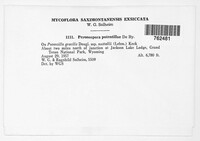 Image Associated With the Occurence